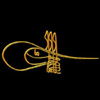 aslanim