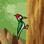 PhyToN