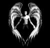 DoRLioN