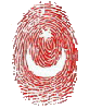 kuzey1