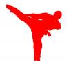 _KaRaTeKiD_