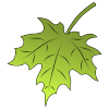zodyakoo