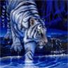 TUFAN_8