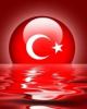 Aslannn