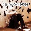 FaLCoN_45