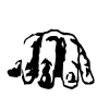 blackdewilgm