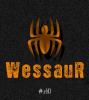 WessauR
