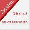zysistem