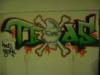 Teksas