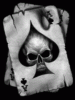 DarKinqZ