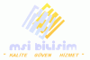 MSI