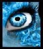 ALone_24