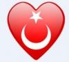 Mert71
