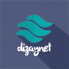 DizayNet