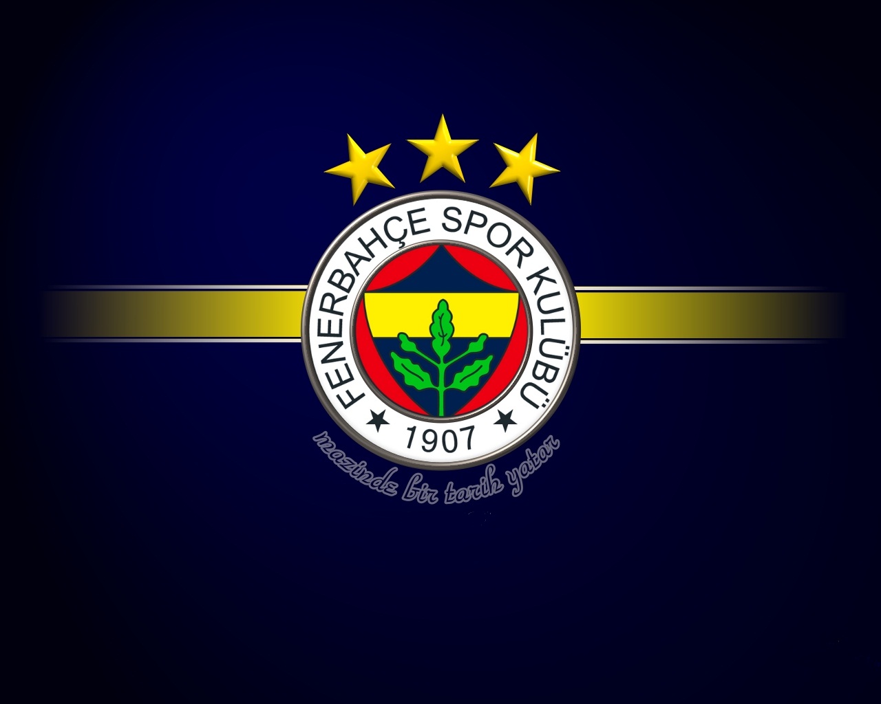 Hmzx13