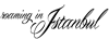 RoamingISTANBUL