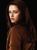 BellaSwan