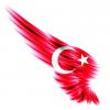 Liselim