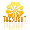 ibsuweb