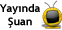kimbuadam3