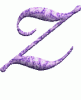 Grf26