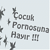NoBoysPorno