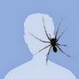 webdeveloper35