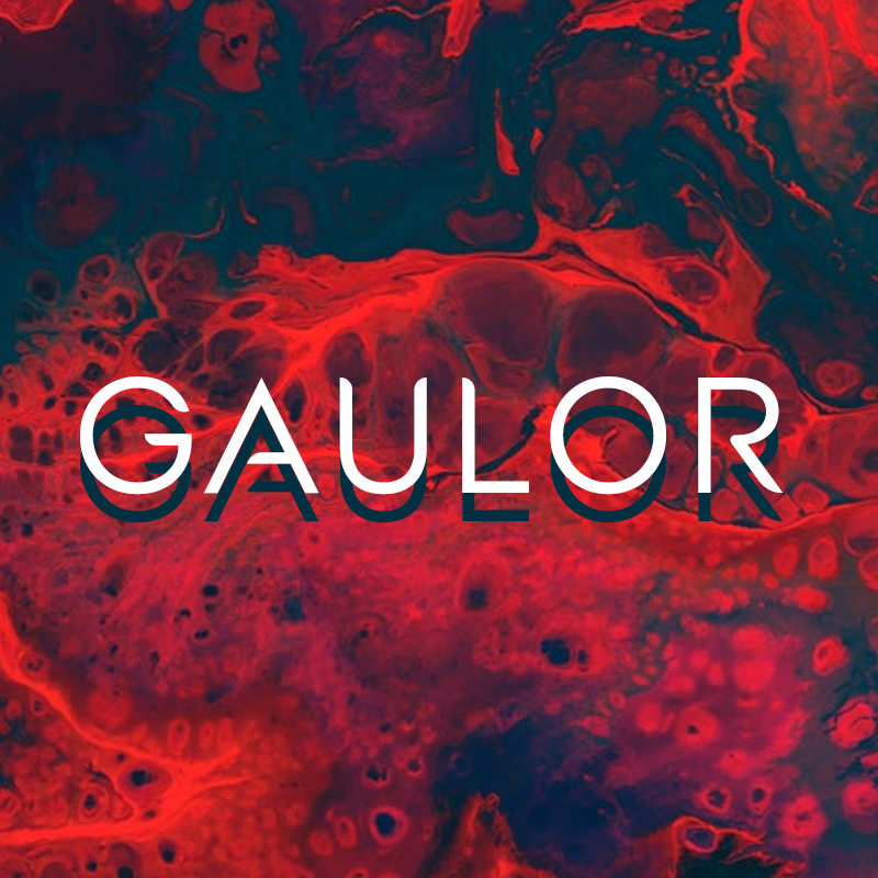 Gaulor