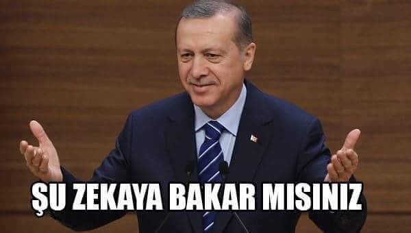 Beykozlu25