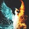 aslan002