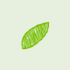 mintwebtasarim