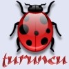turuncu