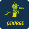 Cekirge
