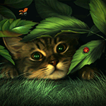 Bir