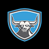 wpbulls