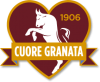 torino7