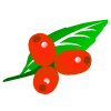 acubasoft