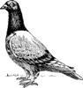 lyublue