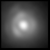 regulus