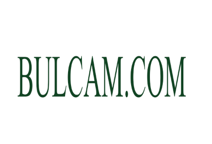 Bulcam