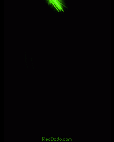 sytycl